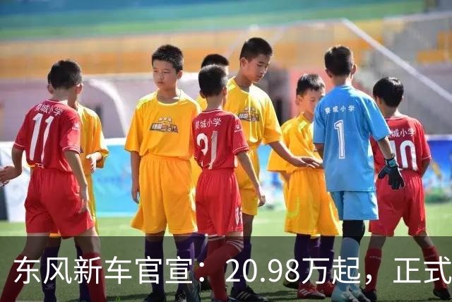 东风新车官宣：20.98万起，正式上市