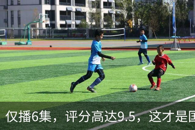 仅播6集，评分高达9.5，这才是国产悬疑剧该有的样子！
