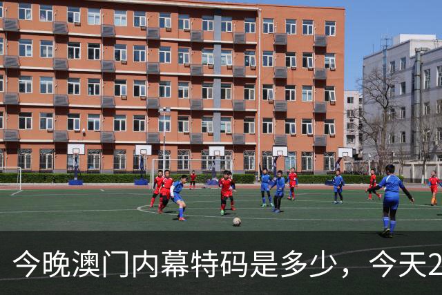 今晚澳门内幕特码是多少，今天297期特码资料是多少每日分享