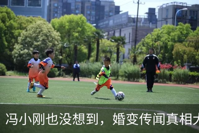 冯小刚也没想到，婚变传闻真相大白刚1年，徐帆竟再陷棘手困局