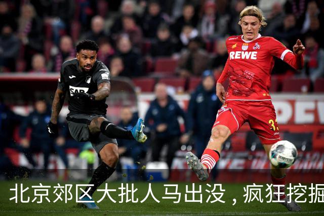 北京郊区大批人马出没 , 疯狂挖掘神秘“黑疙瘩” , 因滥采已岌岌可危