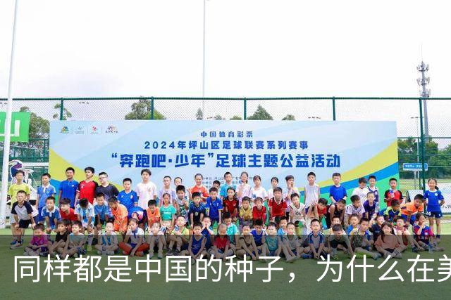 同样都是中国的种子，为什么在美国种出的水稻，亩产要比中国高？
