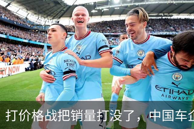打价格战把销量打没了，中国车企开始自食恶果啦？