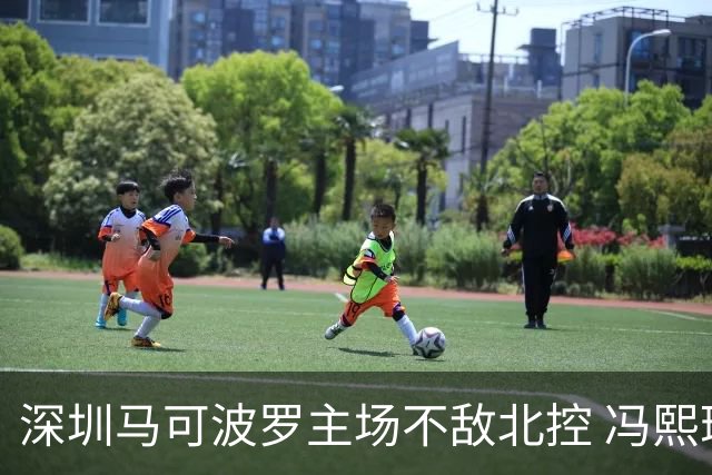 深圳马可波罗主场不敌北控 冯熙瑞逆境打出亮眼表现