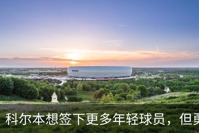 科尔本想签下更多年轻球员，但勇士的薪资空间并不允许做到这一点