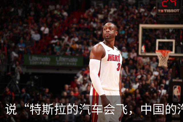 说“特斯拉的汽车会飞，中国的汽车刹车踏板会断”的人，不是蠢，就是坏