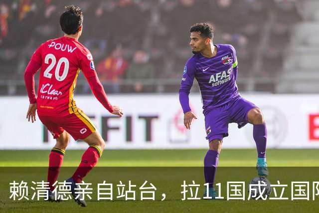 赖清德亲自站台，拉11国成立国际组织，大陆还没发话，岛内先拆台