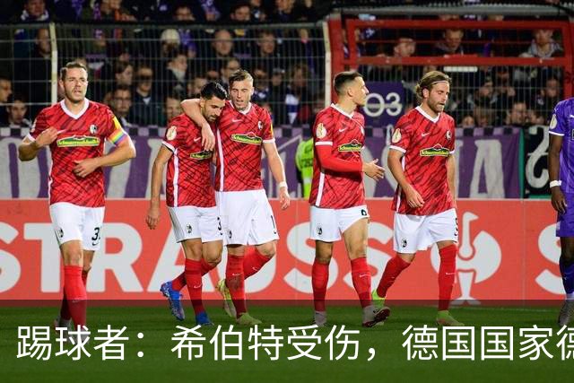 踢球者：希伯特受伤，德国国家德比主裁判已更换为斯蒂勒